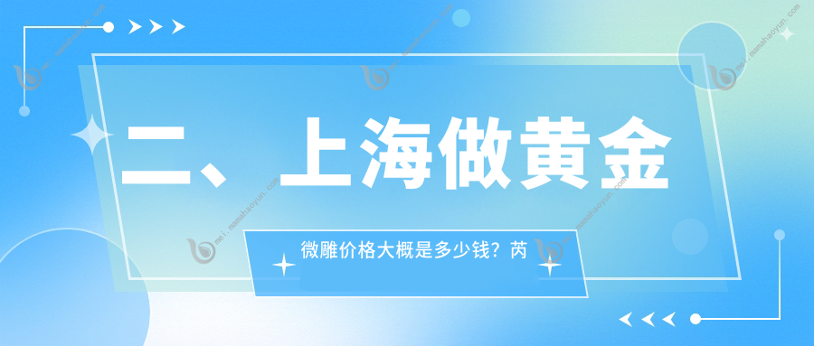 二、上海做黄金微雕价格大概是多少钱？芮雅整形4859