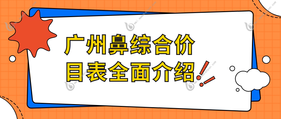广州鼻综合价目表全面介绍