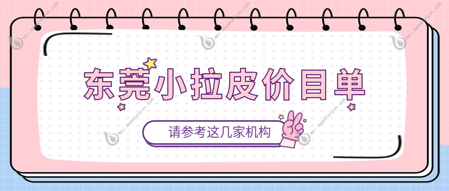 东莞小拉皮价目单