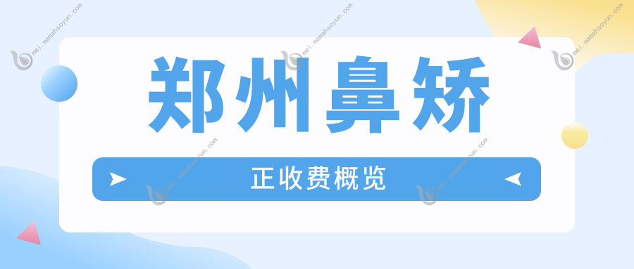郑州鼻矫正收费概览