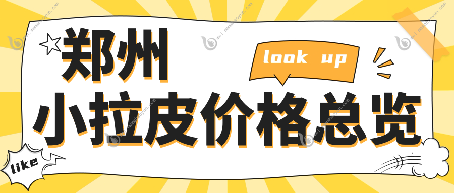 郑州小拉皮价格总览