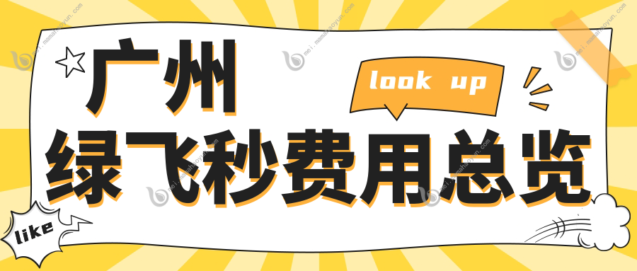 广州绿飞秒费用总览