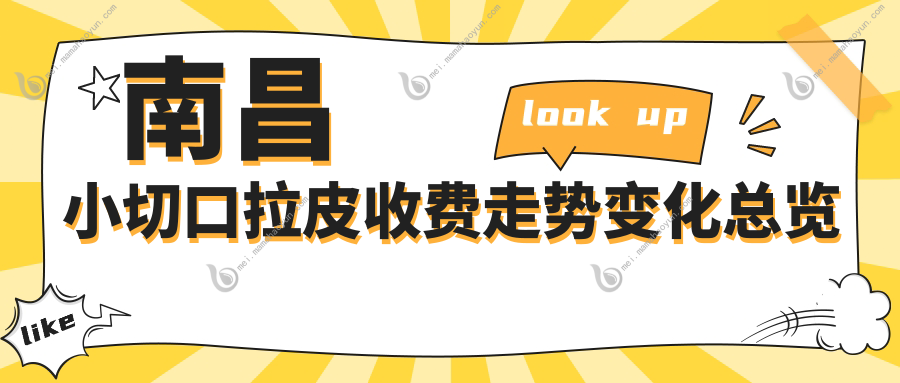 南昌小切口拉皮收费走势变化总览