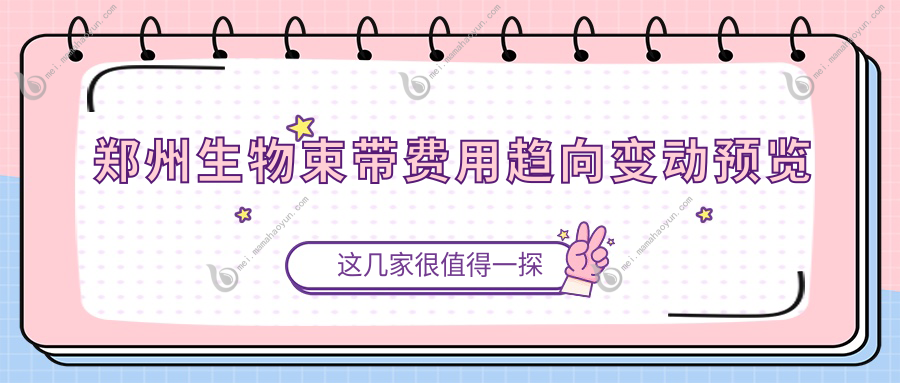 郑州生物束带费用趋向变动预览