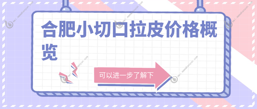 合肥小切口拉皮价格概览