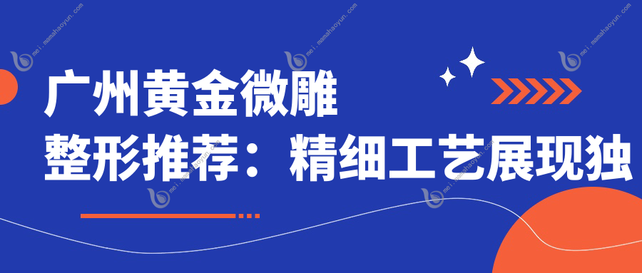 广州黄金微雕整形推荐：精细工艺展现独特魅力，5000元起体验奢华美颜