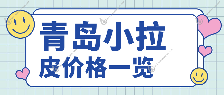 青岛小拉皮价格一览